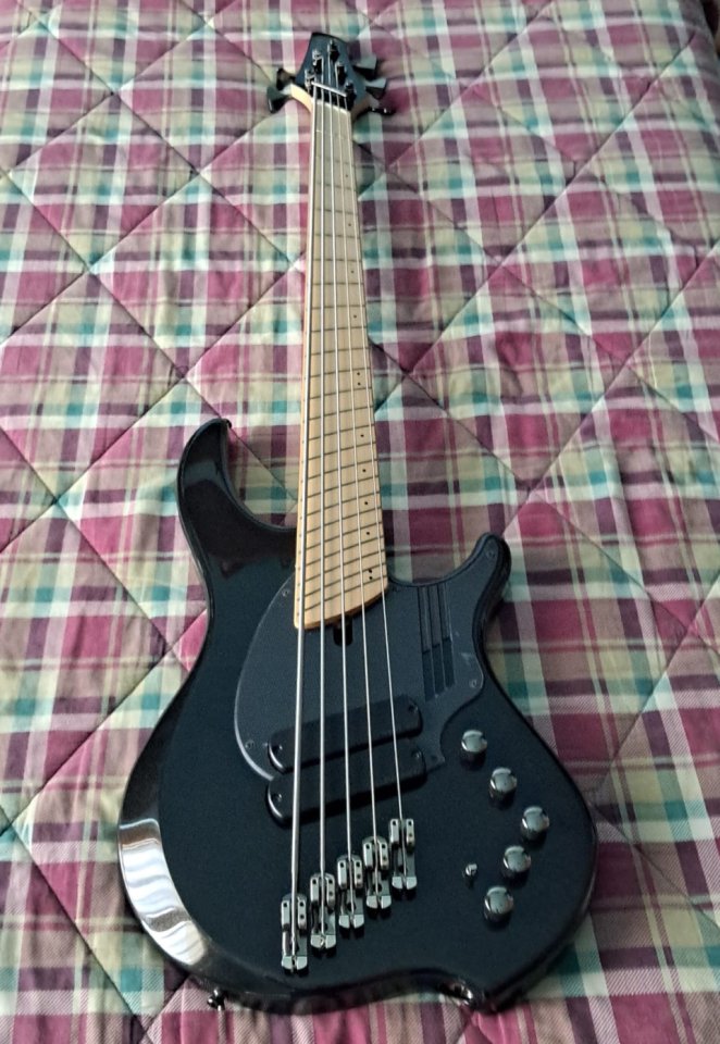 Dingwall NG3 / NG2 5 string bass Nolly Getgood combustion signature