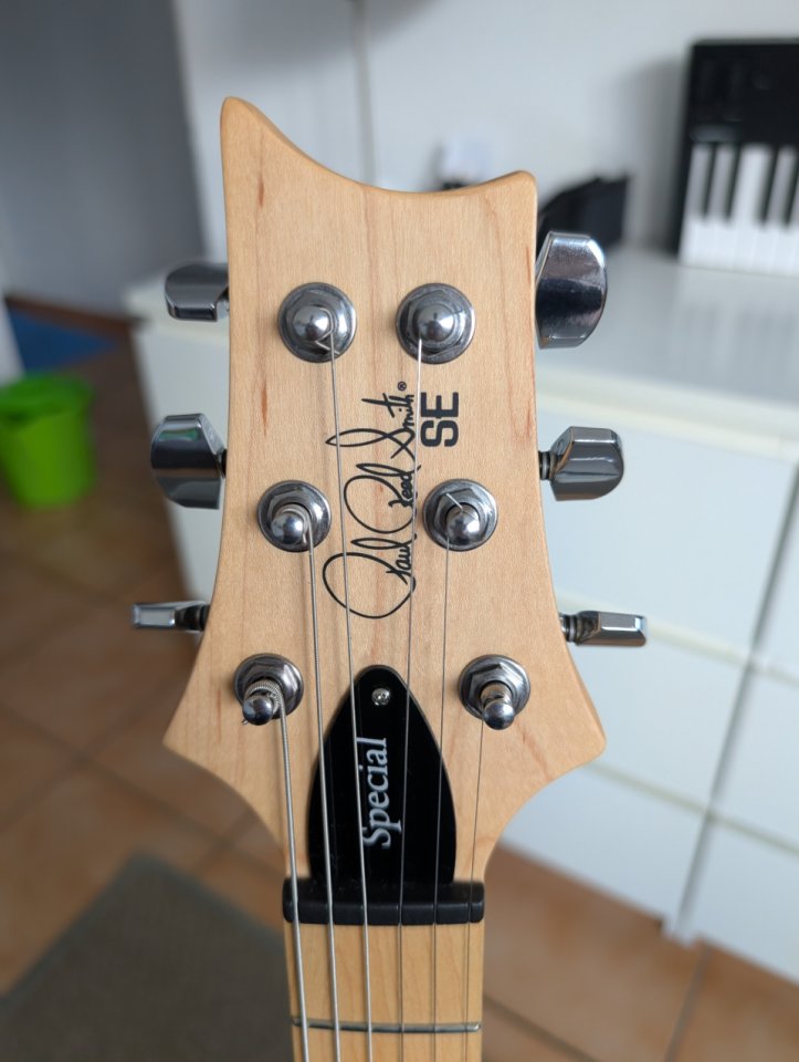 PRS SE Swamp Ash Special