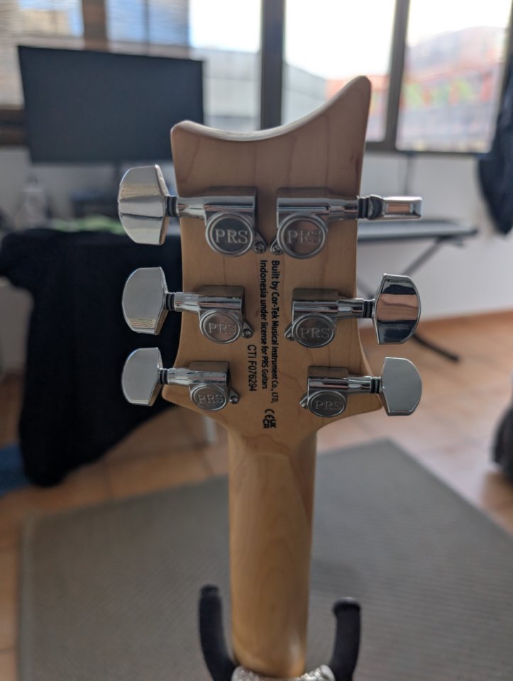 PRS SE Swamp Ash Special