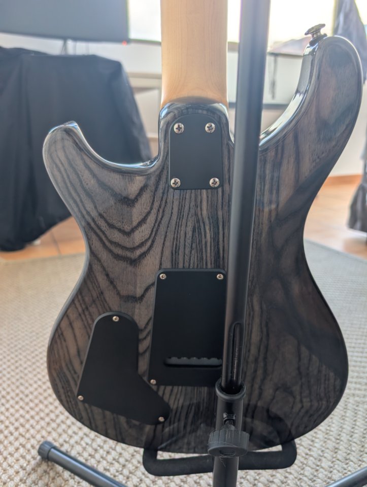 PRS SE Swamp Ash Special