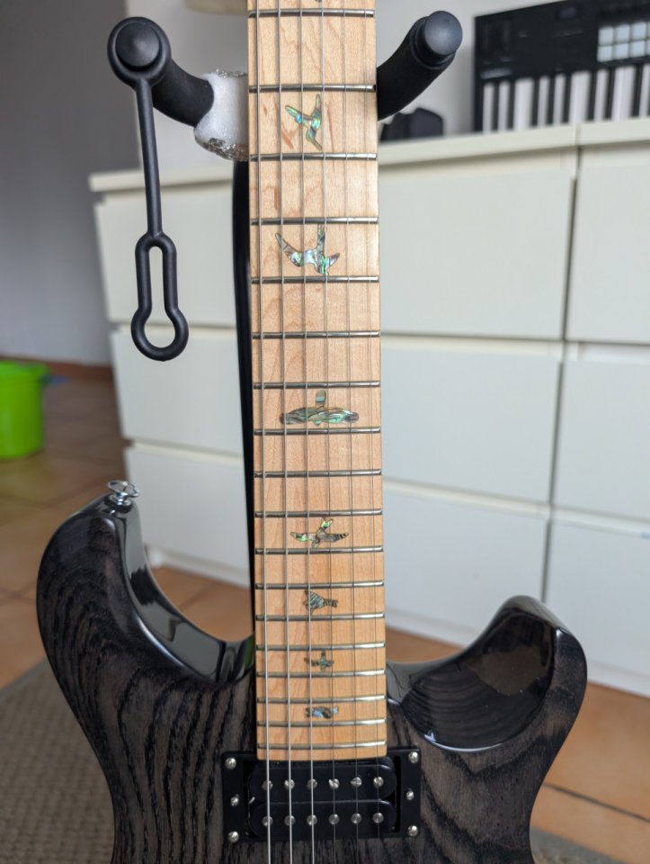 PRS SE Swamp Ash Special