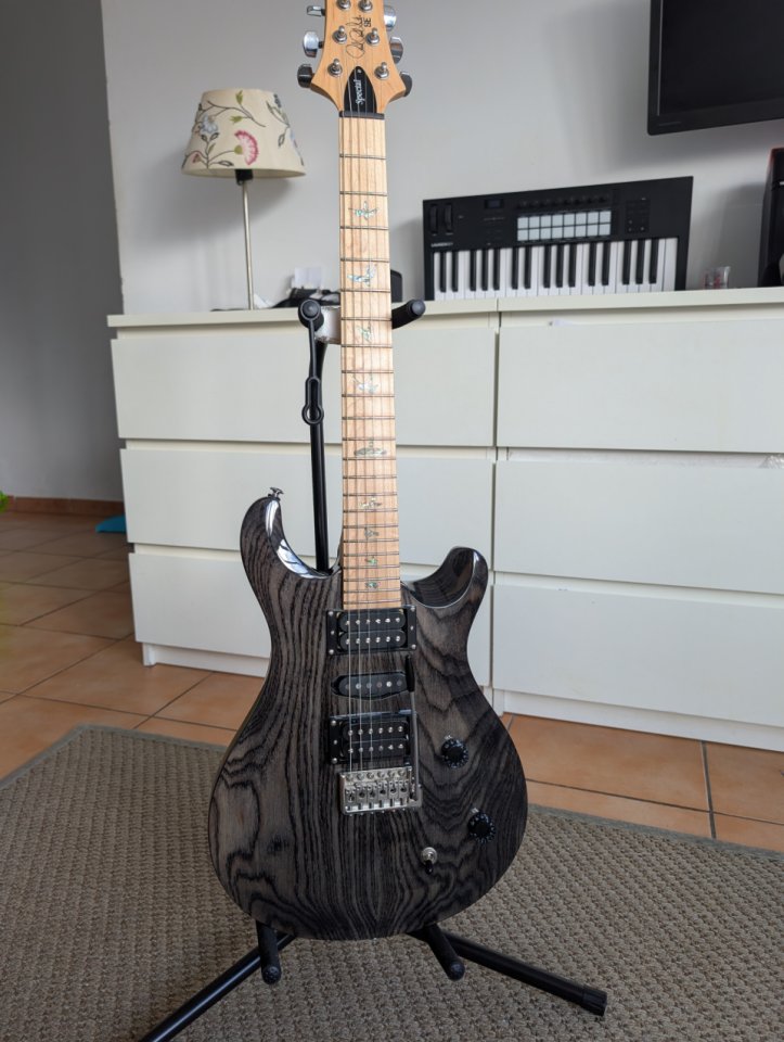 PRS SE Swamp Ash Special