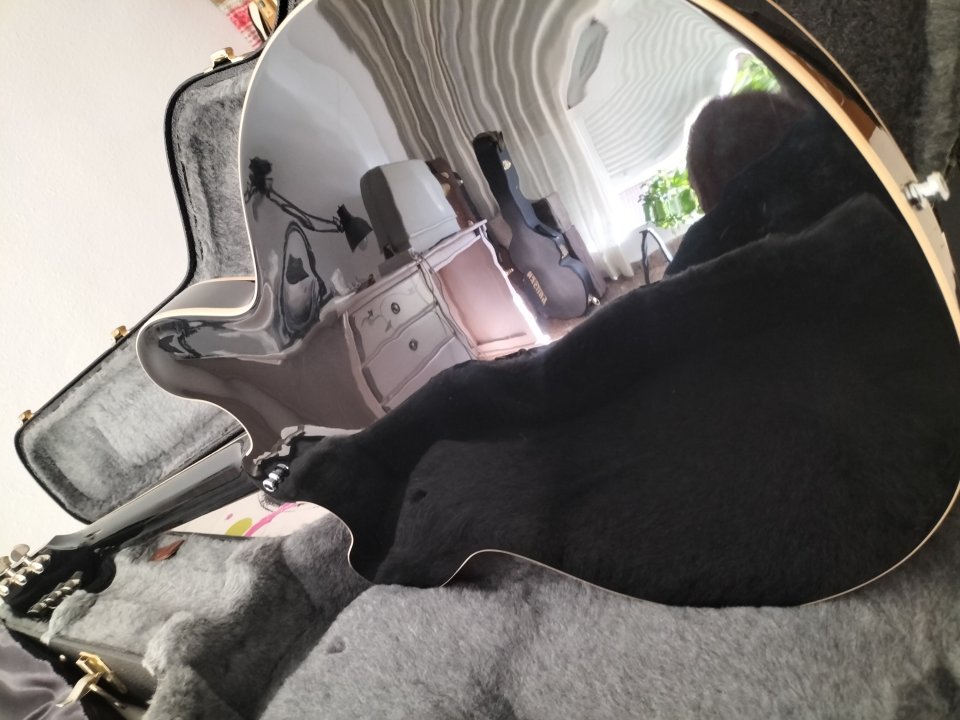 Gibson ES-335 Black 2007 (Nashville)