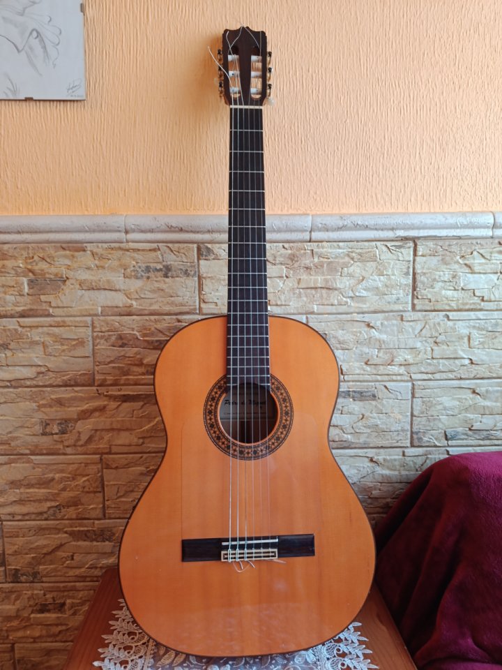 Guitarra Pedro de Miguel de segunda mano · Foto 1 de 5 · Alicante · 800 €