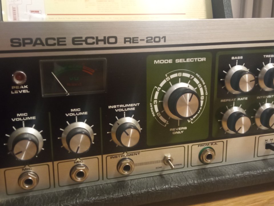 Roland space echo RE201