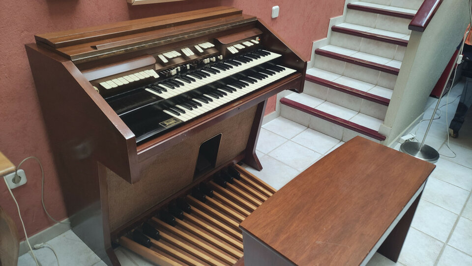 ORGANO HAMMOND E-100