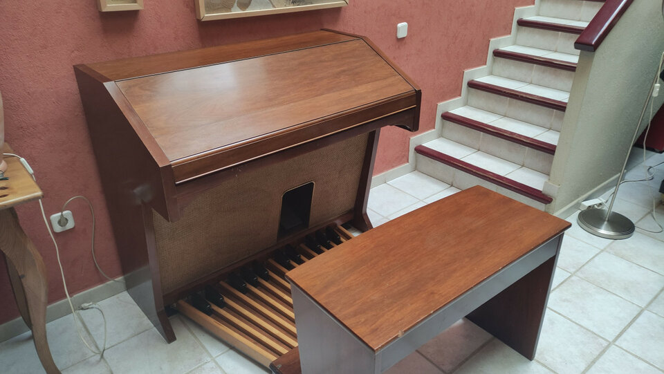 ORGANO HAMMOND E-100