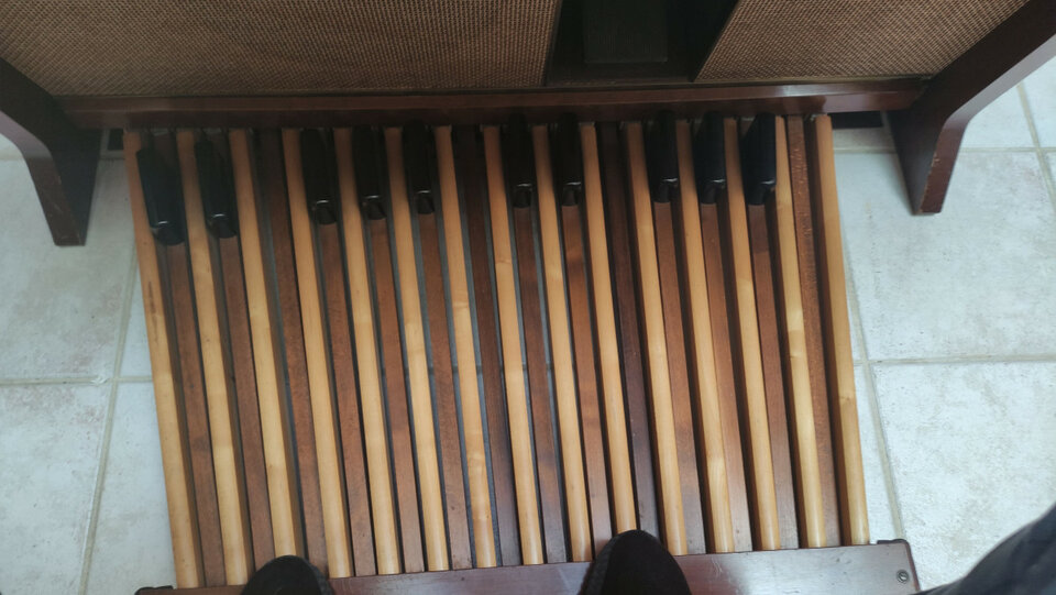 ORGANO HAMMOND E-100