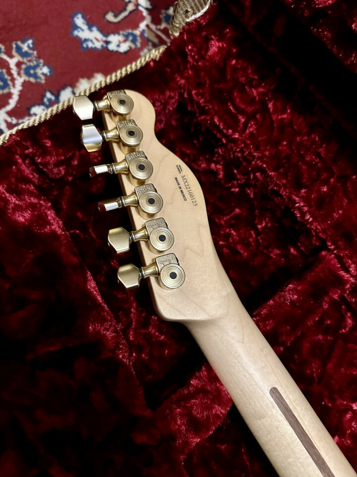 Fender telecaster única