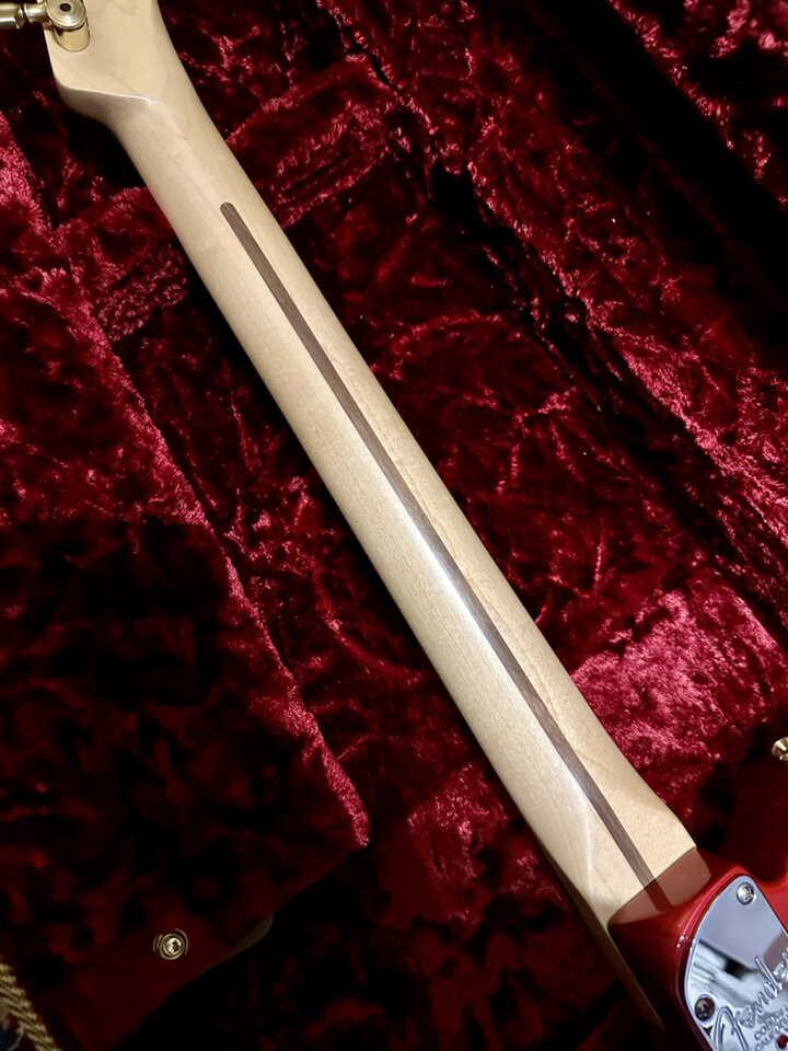 Fender telecaster única