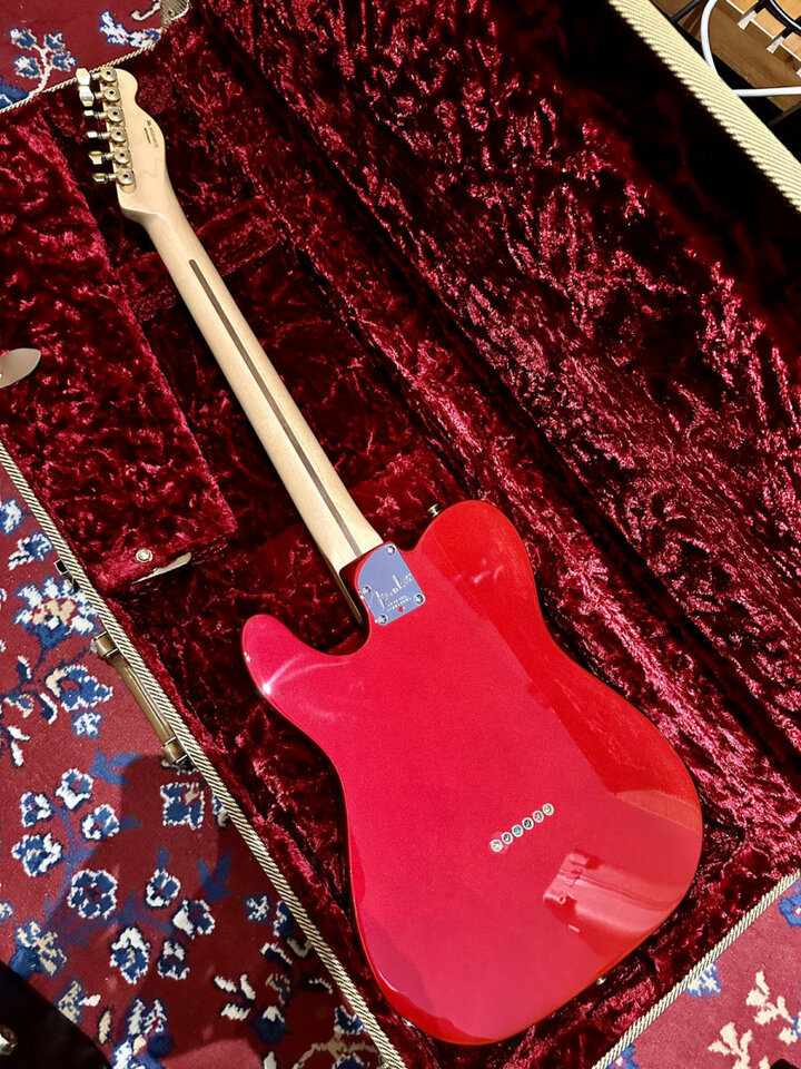 Fender telecaster única