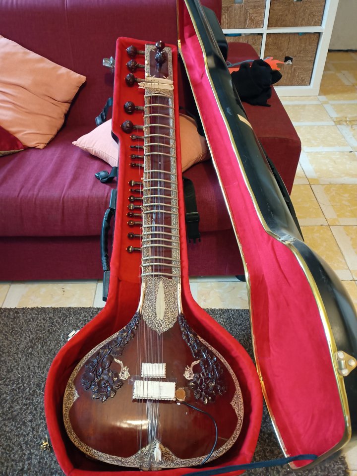 Sitar profesional