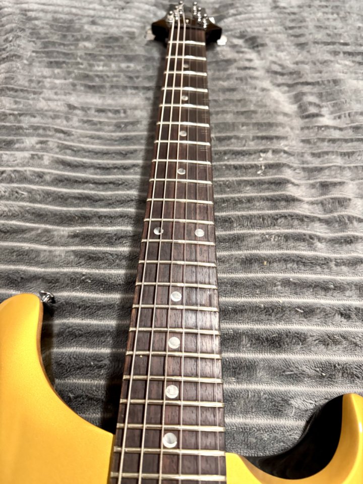 PRS SE DGT Gold Top ( Modelo David Grissom Signature )