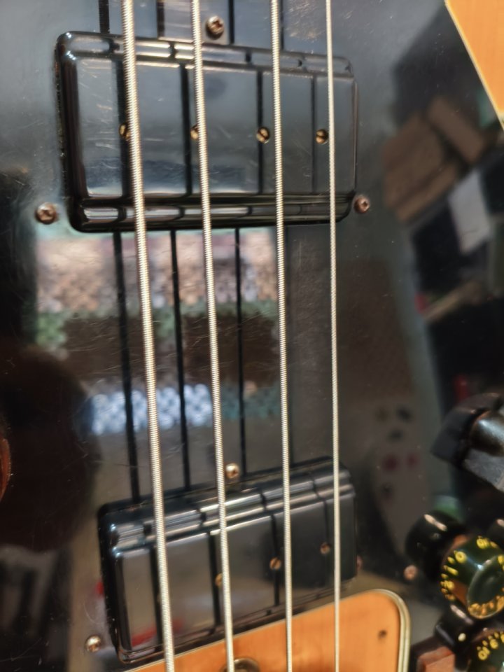Bajo Gibson Ripper 1982 de segunda mano · Foto 7 de 9 · Asturias · 2490 €