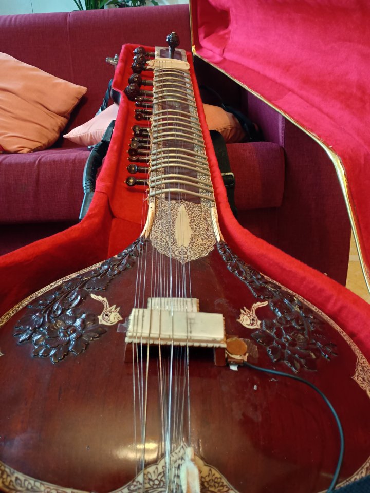 Sitar profesional