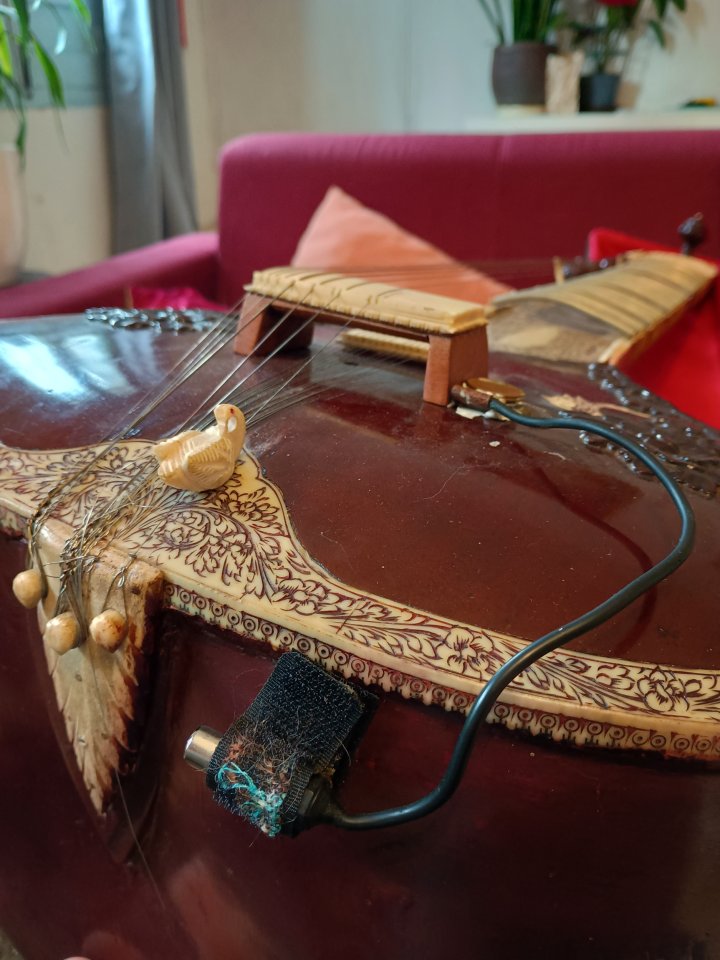 Sitar profesional