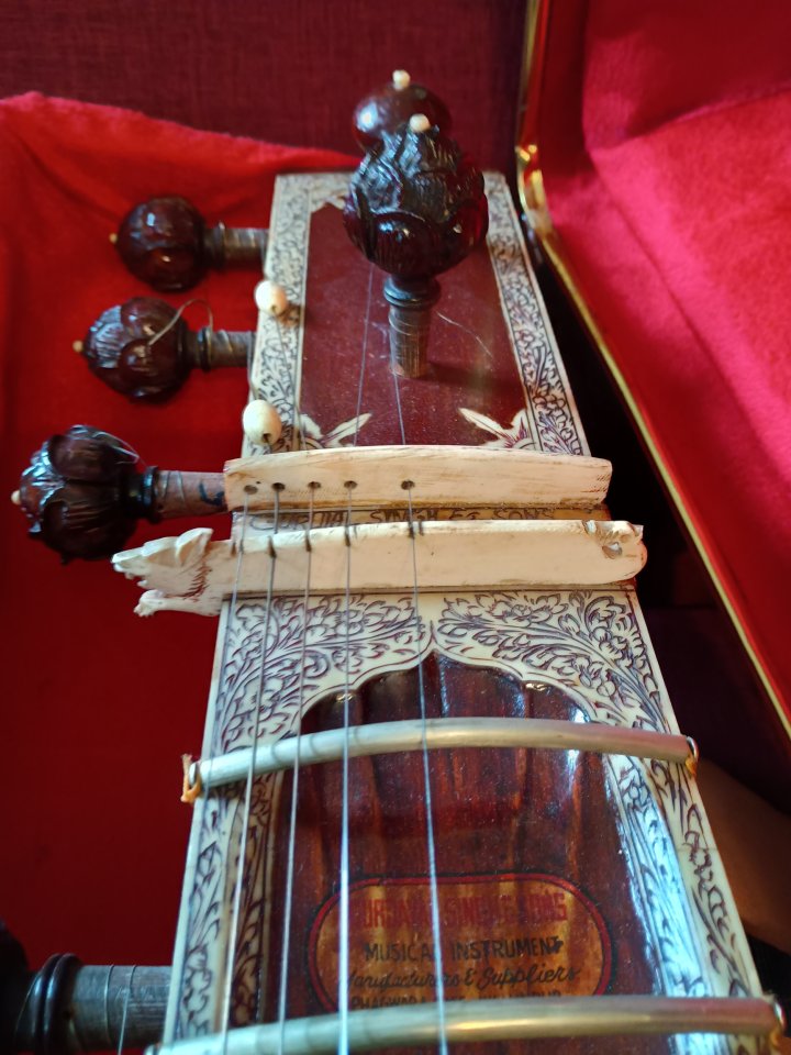 Sitar profesional