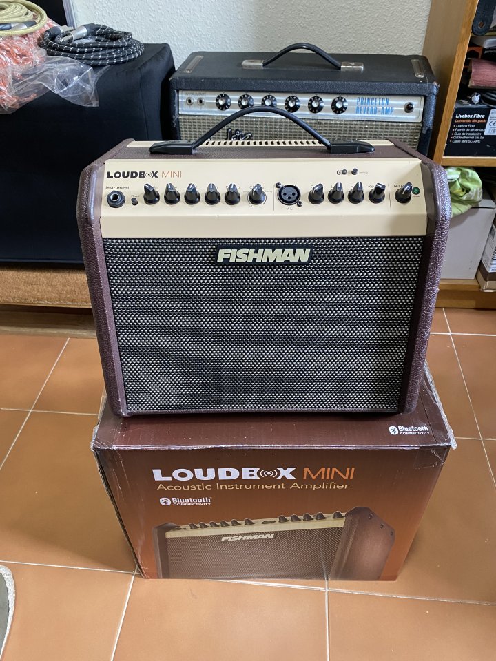 Fishman Loudbox mini
