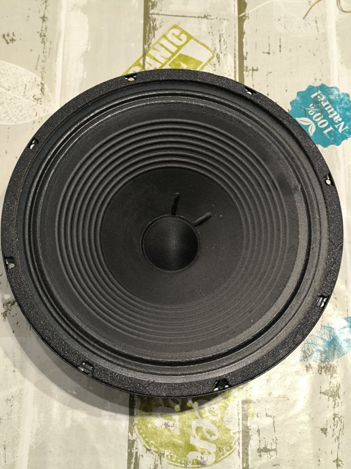 Altavoz Fender (Eminence) Lightning Bolt de segunda mano · Foto 2 de 2 · A Coruña