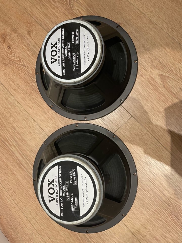 Pareja de conos de 12 pulgadas Vox