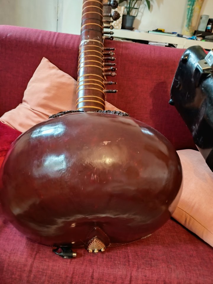 Sitar profesional