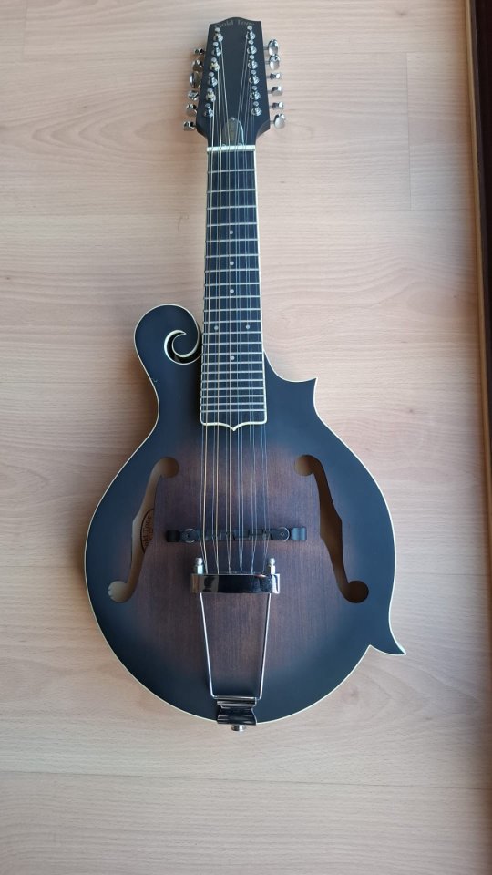 Mandolina-Guitarra  GOLD TONE F12