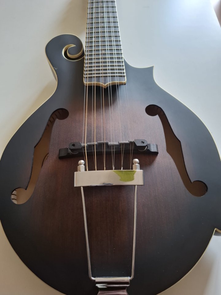 Mandolina-Guitarra  GOLD TONE F12