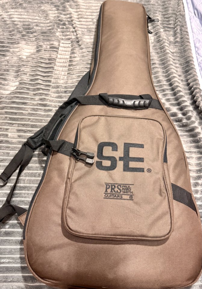 PRS SE DGT Gold Top ( Modelo David Grissom Signature )