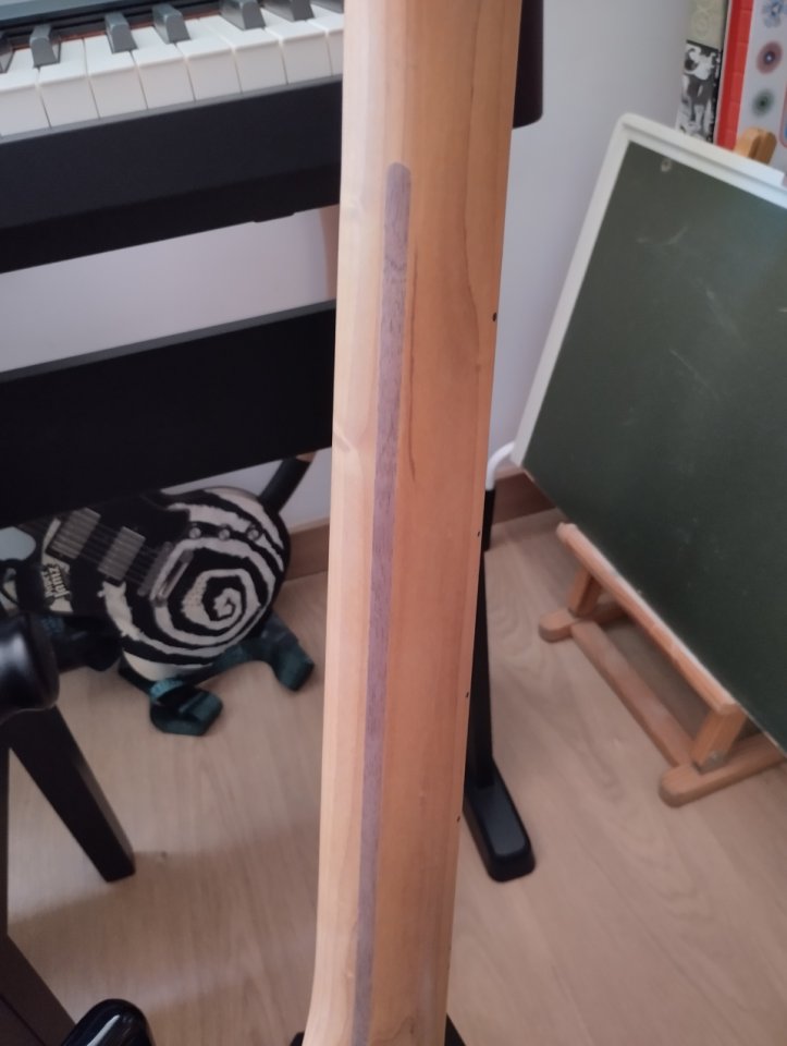 Edición limitada. Fender Player Stratocaster arce tostado y Fat 50 de segunda mano · Foto 7 de 9 · Valencia · 800 €