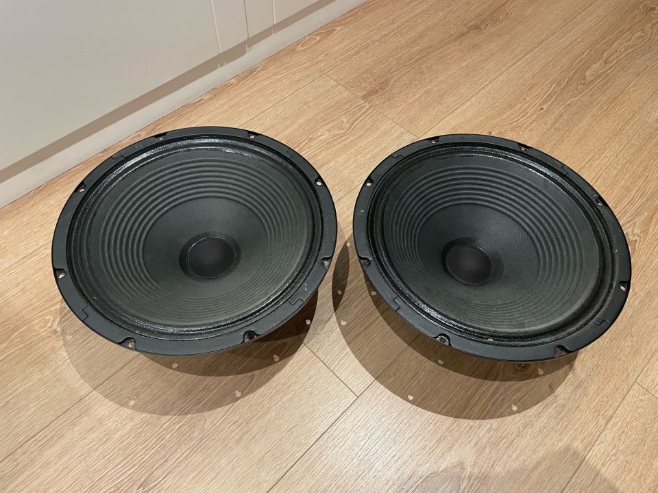 Pareja de conos de 12 pulgadas Vox