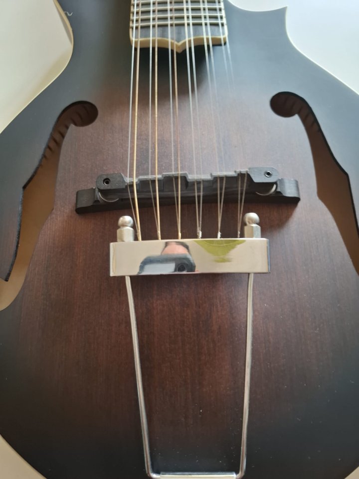 Mandolina-Guitarra  GOLD TONE F12