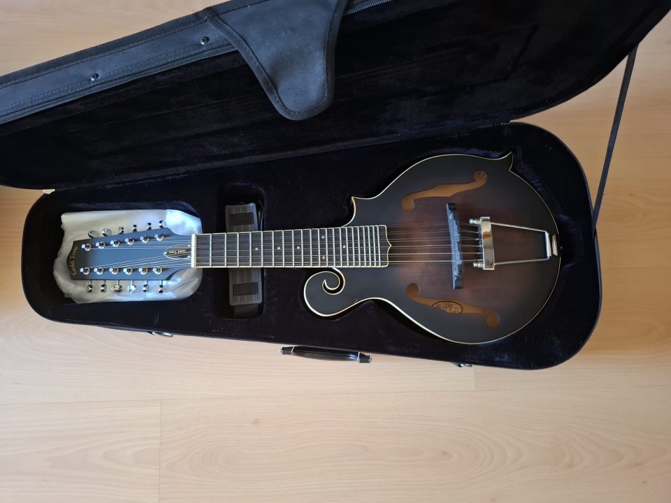 Mandolina-Guitarra  GOLD TONE F12