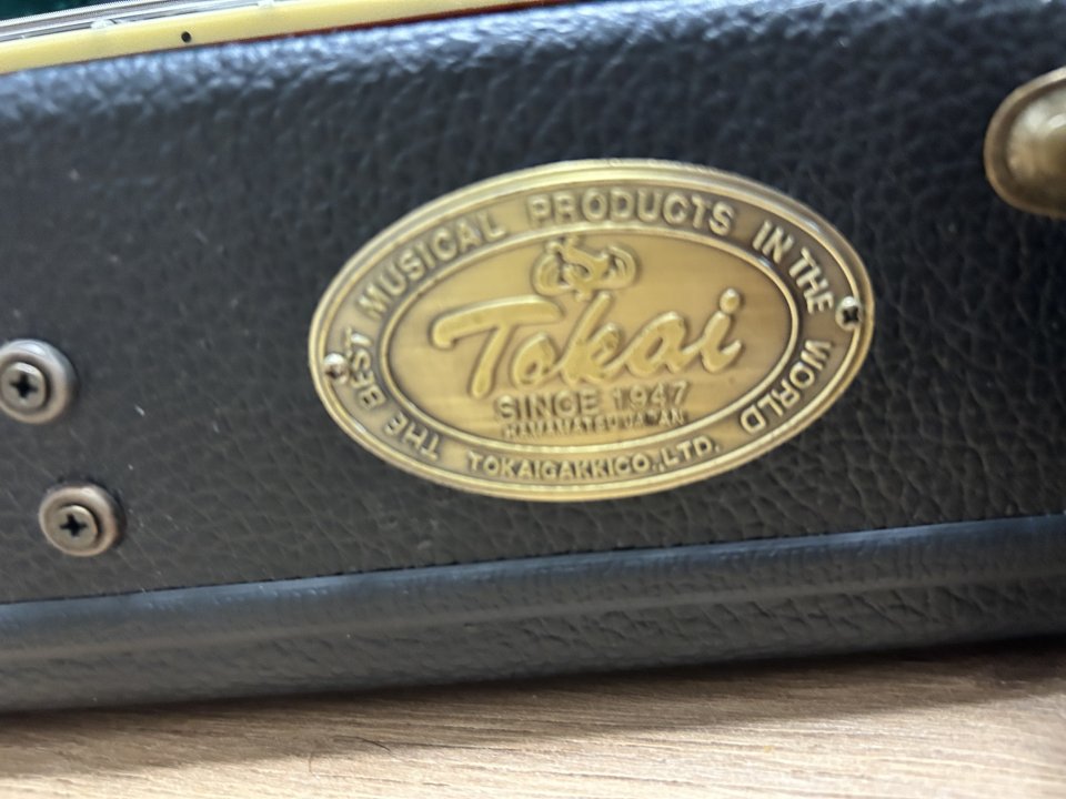 Epiphone Les Paul Standard Goldtop