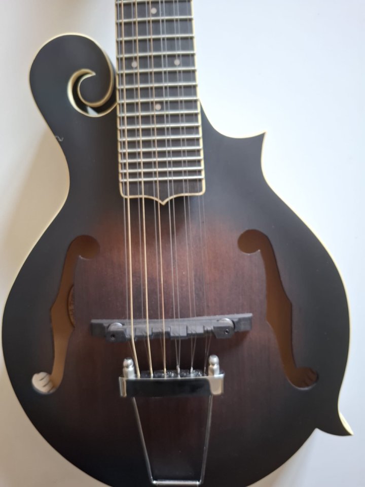 Mandolina-Guitarra  GOLD TONE F12