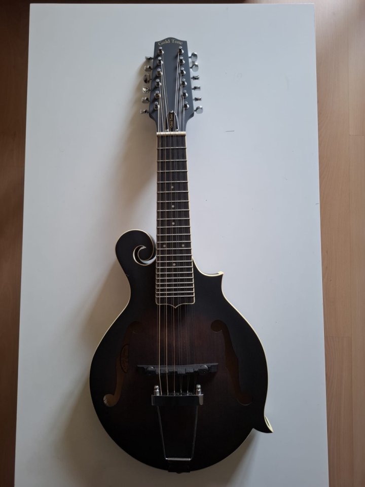 Mandolina-Guitarra  GOLD TONE F12