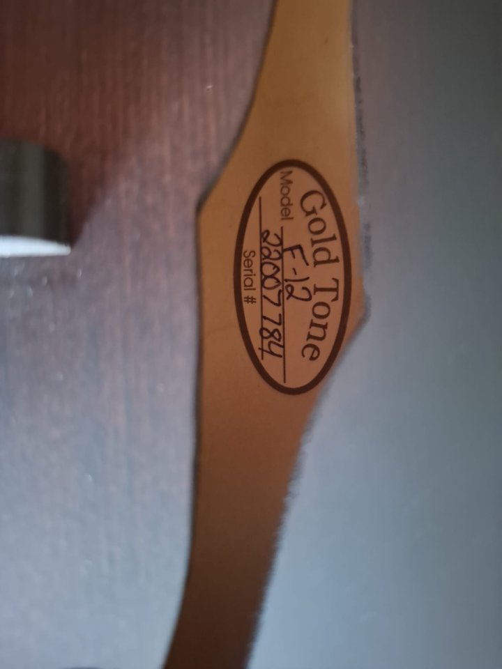 Mandolina-Guitarra  GOLD TONE F12