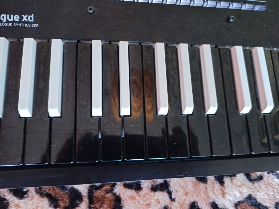 Korg Minilogue XD inverted keys de segunda mano · Foto 5 de 8 · Madrid · 375 €