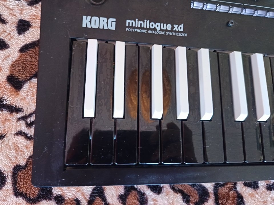 Korg Minilogue XD inverted keys de segunda mano · Foto 7 de 8 · Madrid · 375 €