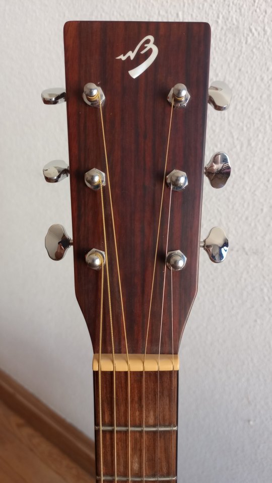 Guitarra Acústica Breedlove Passport D/MMe