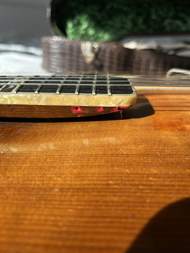 Hofner Committee Archtop Brunette (1963)