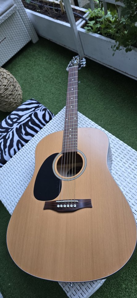 Seagull S6 Zurd@ de segunda mano · Foto 2 de 10 · Madrid · 499 €