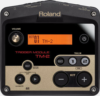 Roland TM 2 Pantalla