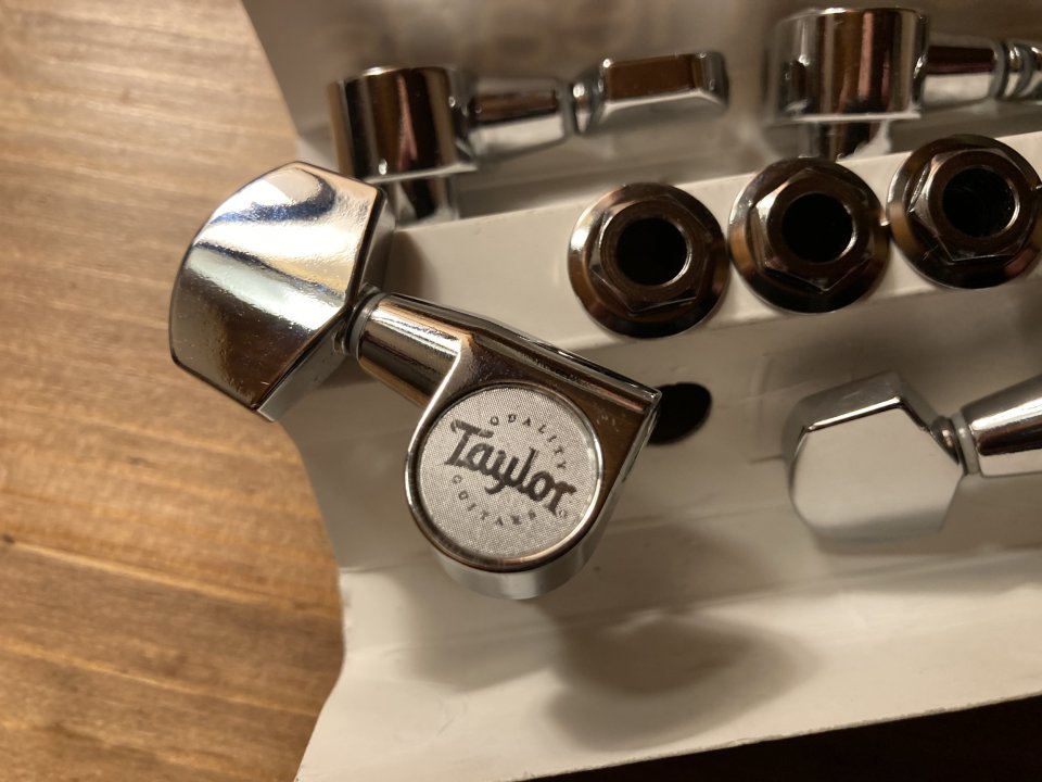 Clavijas Taylor plateadas