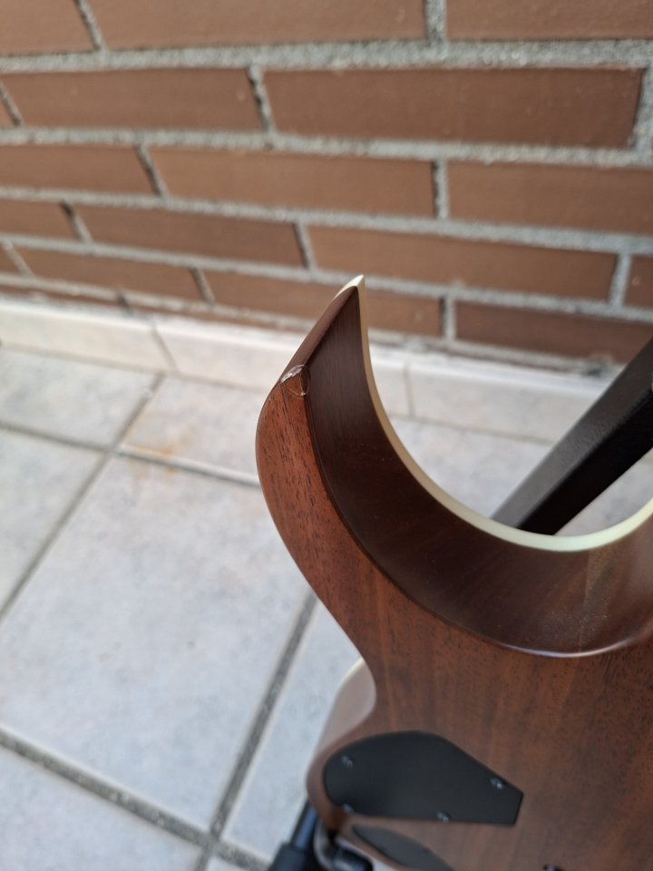 Ibanez RGR5221-TFR Prestige