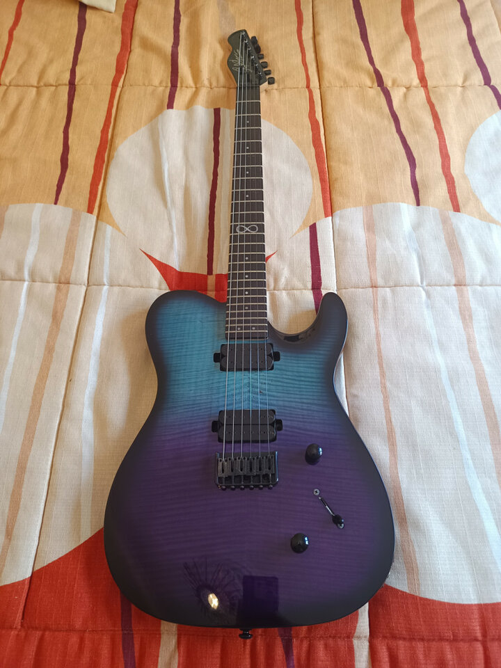 Chapman Ml3 Modern
