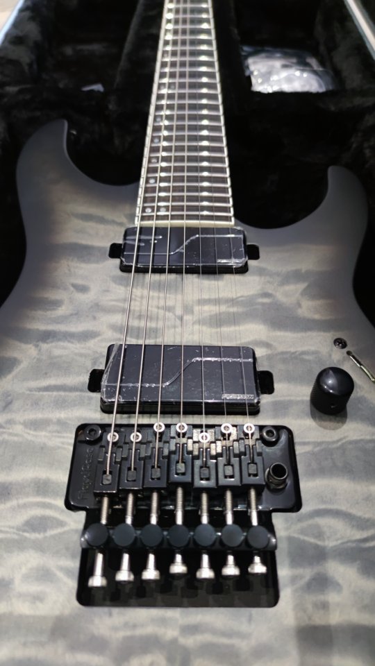 ESP LTD M-1007B QM 7 cuerdas.