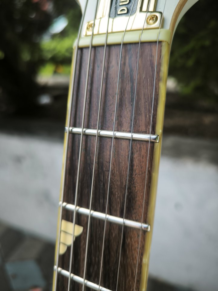 Duesenberg Starplayer TV Phonic VW pvp 2888€ ¡Envío incluido! de segunda mano · Foto 7 de 10 · Murcia · 1950 €