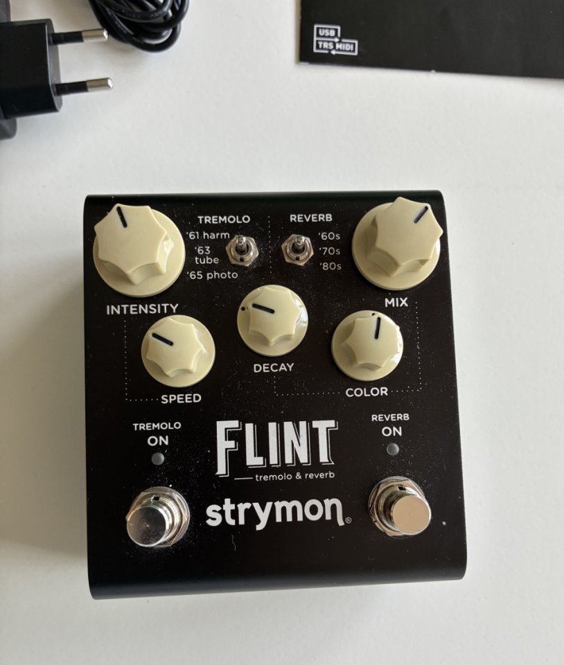 Strymon Flint V2 de segunda mano · Foto 1 de 6 · Madrid · 250 €