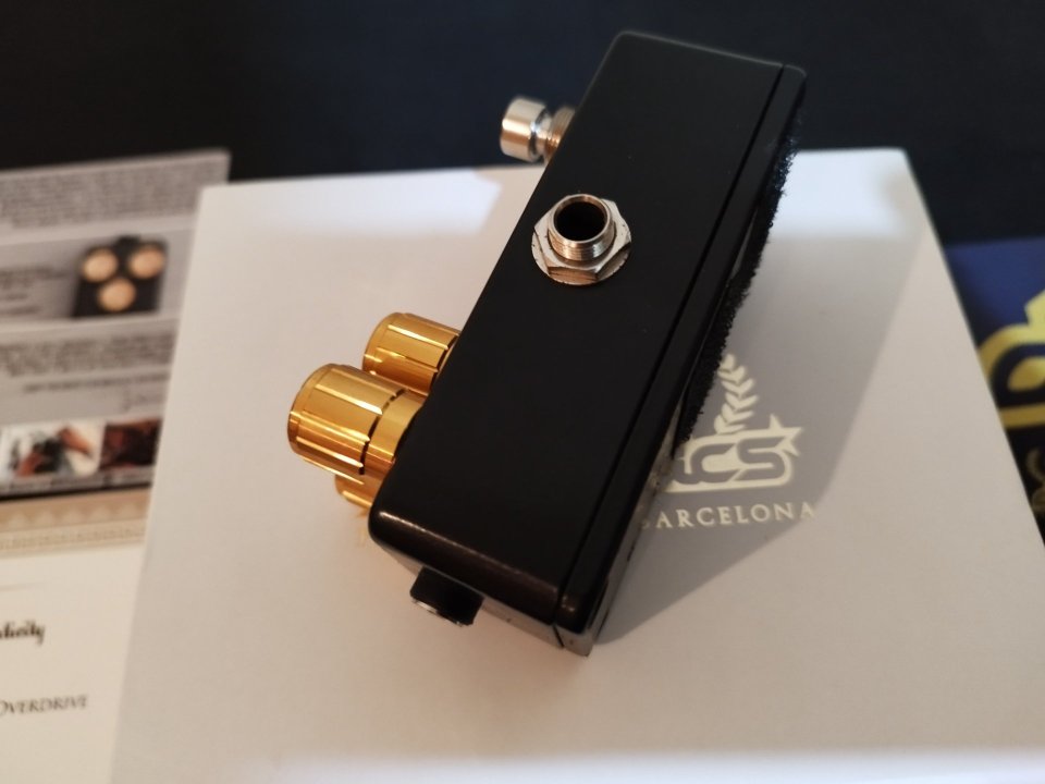 Decibelics Golden Horse