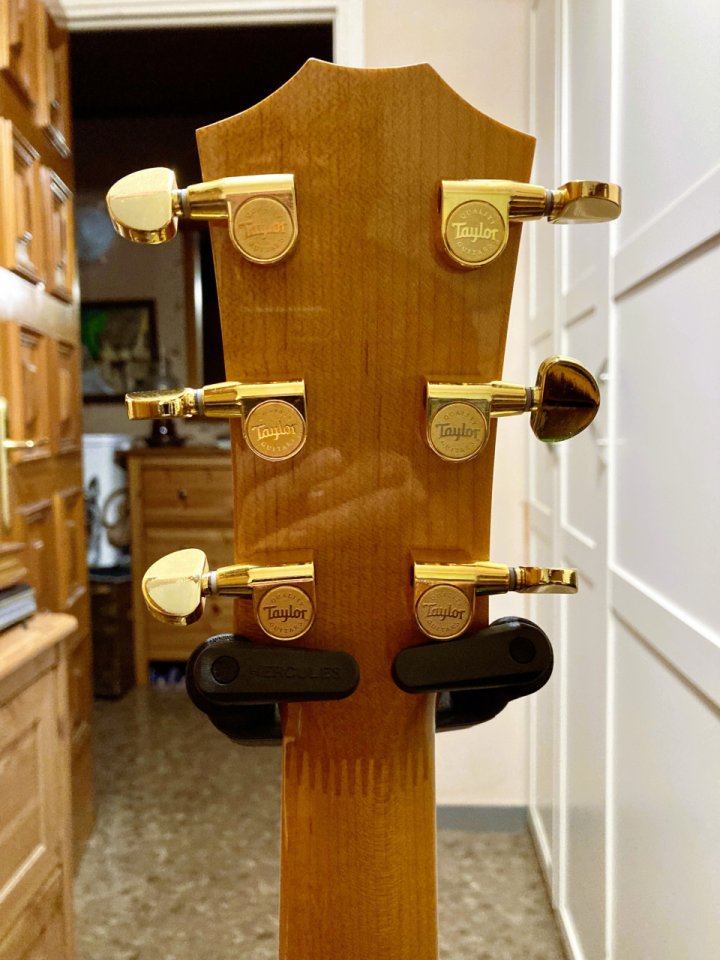 Clavijas Taylor doradas